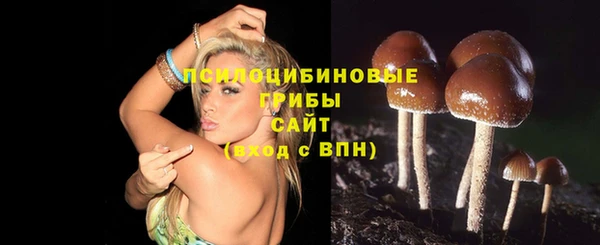 MDMA Premium VHQ Богородск